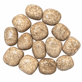 Fossil Wheat Coral Healing Crystal - Single Polished Tumblestone