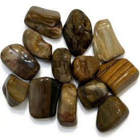 Fossilised Jasper Wood Crystal - Single Polished Tumblestone