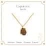 Healing Raw Tiger's Eye (Capricorn / January Birthstone Necklace)