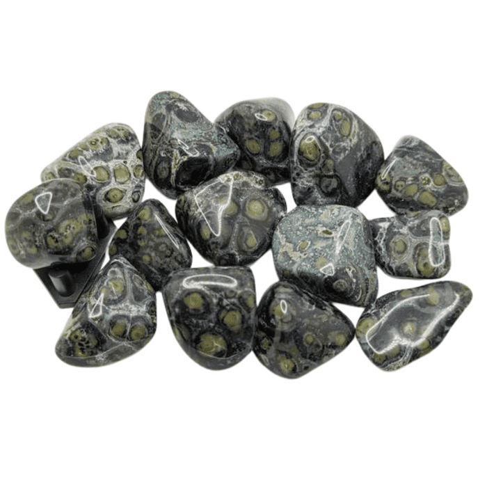 Kambaba Jasper Crystal - Single Polished Tumblestone