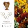 Tiger Eye Pocket Guardian Angel (Mini 2cms)