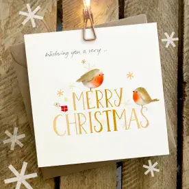 Wish you a very Merry Christmas (Robins)