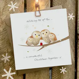 Wishing all of you - Wonderful Christmas (Owls)