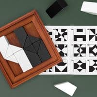 Iron & Glory Shapeshifter Puzzle Game