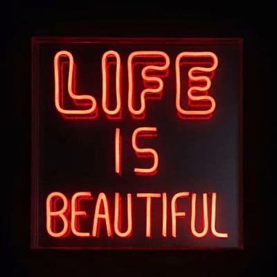 Life Is Beautiful Neon Light Box
