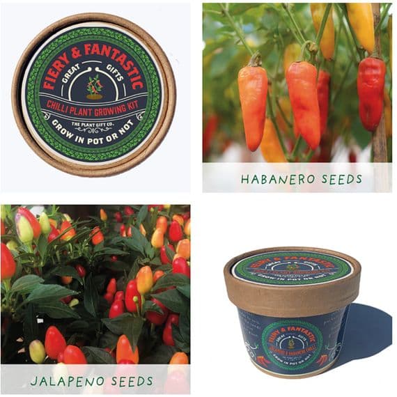 Plant Grow Gift Kit: Fiery & Fantastic
