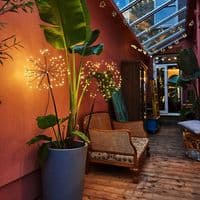 Solar / Battery Dandelion Stake Light