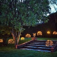 Solar Dandelion Outdoor Stake Light