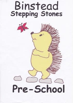 Binstead Stepping Stones Polo Shirt