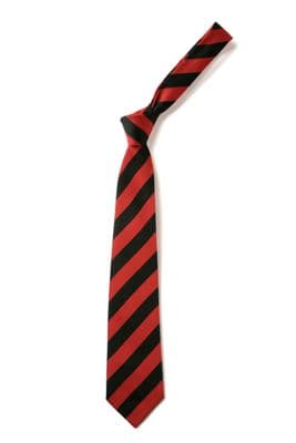 Haylands School Tie