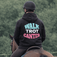 Horse lovers Hoodie