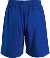 Lift Ryde P.E Shorts Royal