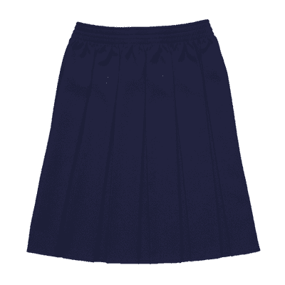 Navy Box Pleat skirt