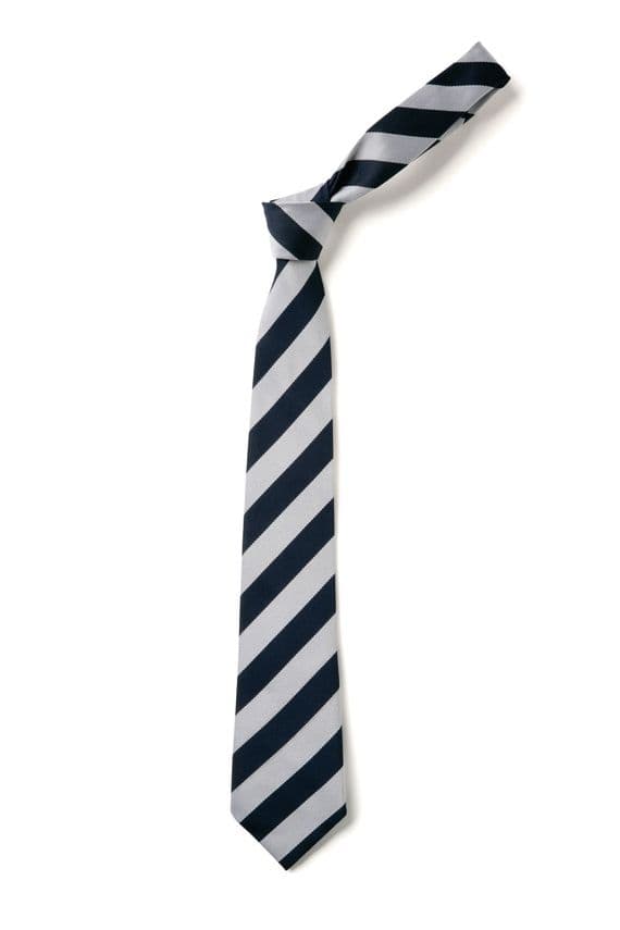 Nine Acres School Tie