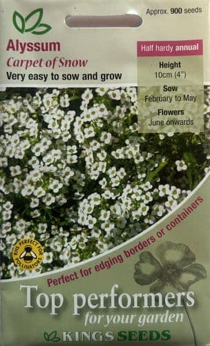 Alyssum Carpet of Snow