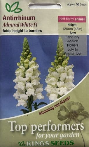 Antirrhinum Admiral White F1