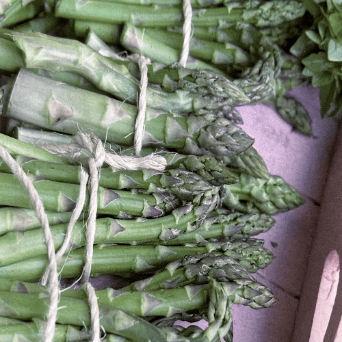Asparagus Green Gijnlim