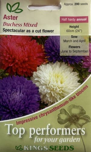Aster Duchess Mixed