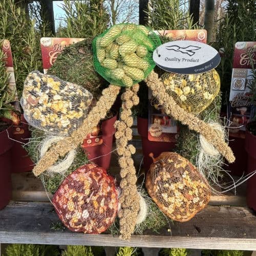 Bird Feed Wreath