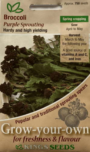 Broccoli Purple Sprouting