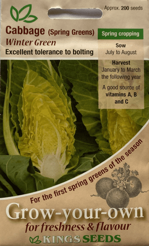 Cabbage (Spring Greens) Winter Green
