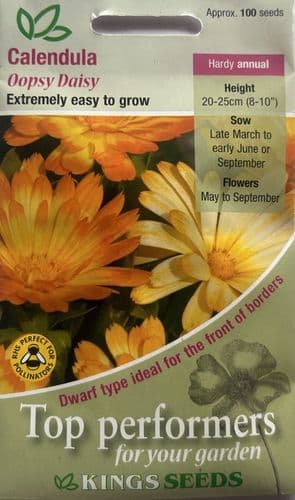 Calendula Oopsy Daisy