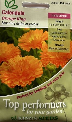 Calendula Orange King