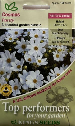 Cosmos Purity
