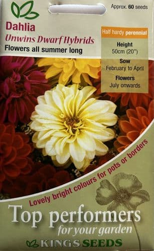 Dahlia Unwins Dwarf Hybrids