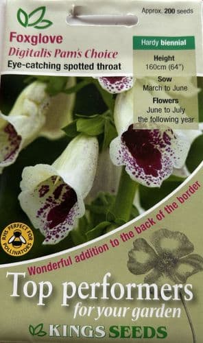 Foxglove Digitalis Pam's Choice