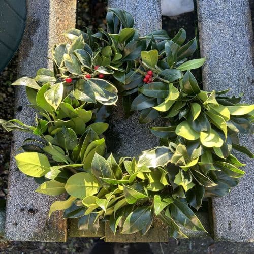 Holly Wreath