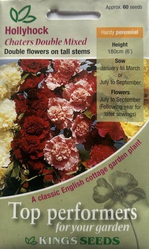 Hollyhock Chaters Double Mixed