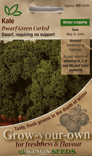 Kale Dwarf Green Curled