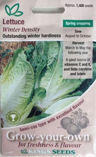 Lettuce Winter Density