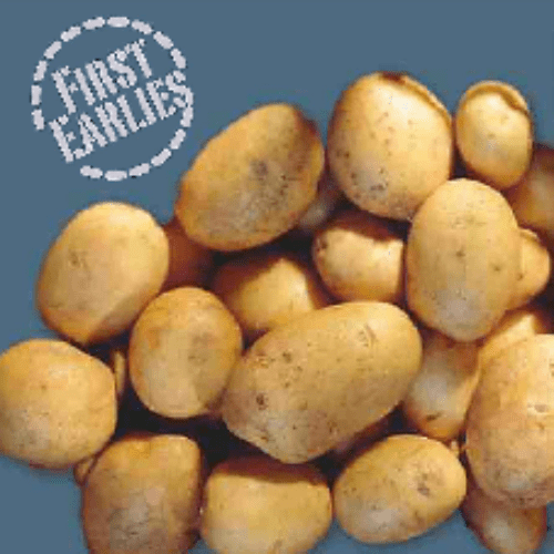 Managers Choice Potato Mix