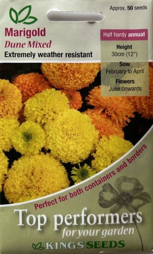 Marigold Dune Mixed