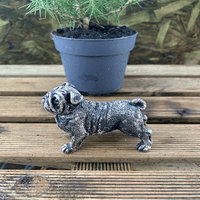 Miniature Bulldog Bronze