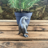 Miniature Cheeky Penguin Side Bronze