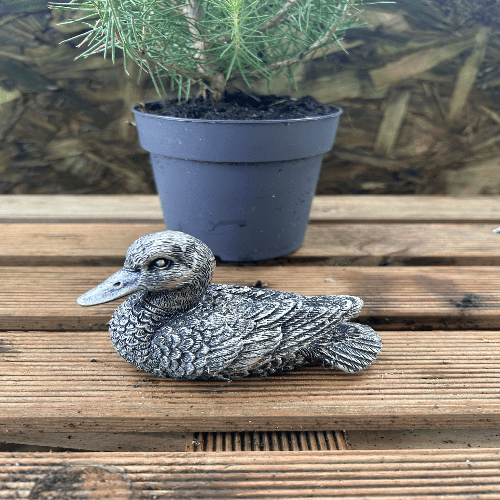 Miniature Duck Bronze