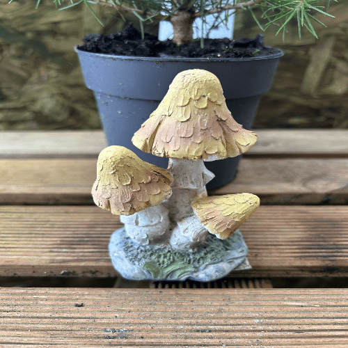 Miniature Fairy Ring Mushroom