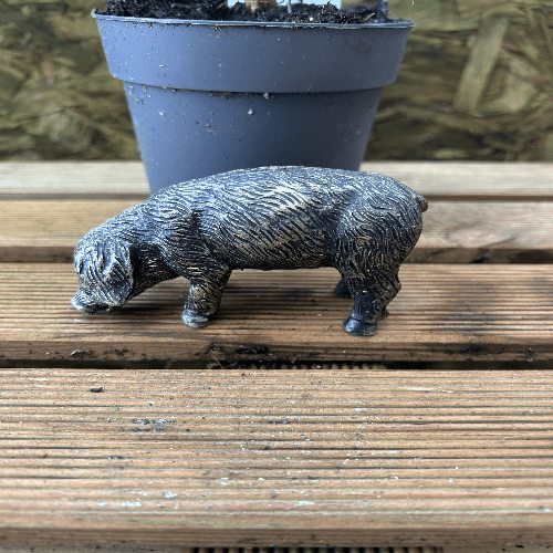 Miniature Pig Bronze