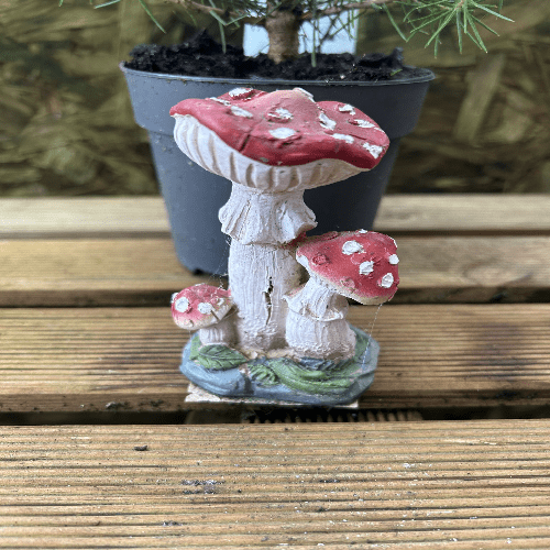 Miniature Pimpled Toadstool
