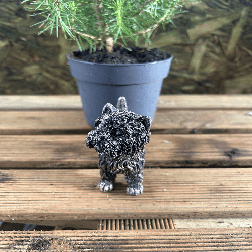 Miniature Westie Bronze