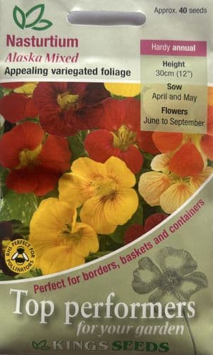 Nasturtium Alaska Mixed