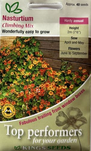 Nasturtium Climbing Mix