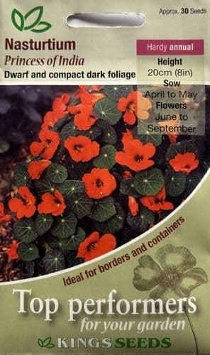 Nasturtium Princess of India