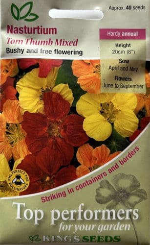 Nasturtium Tom Thumb Mixed