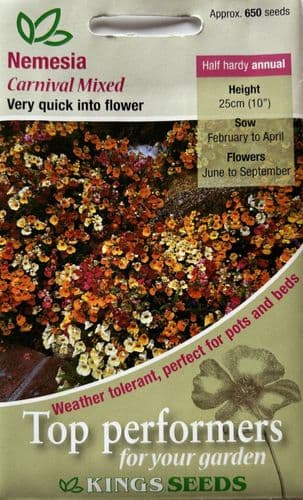 Nemesia Carnival Mixed
