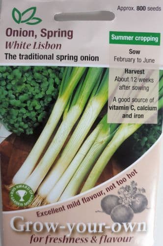 Onion Spring White Lisbon