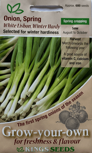 Onion Spring White Lisbon Winter Hardy RHS AGM